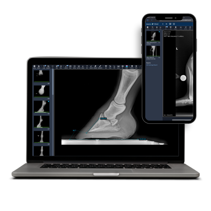 Keystone PACS equine radiograph review open on a laptop and phone, showing the same fetlock study across devices.