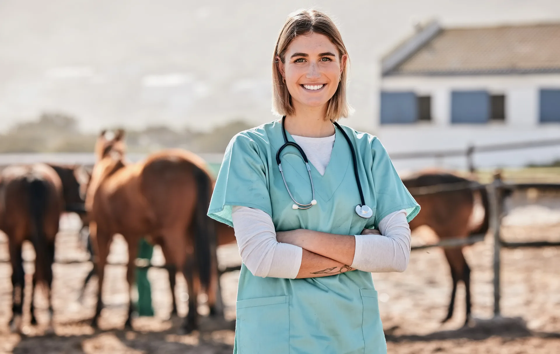 Equine veterinarian standing beside a horse