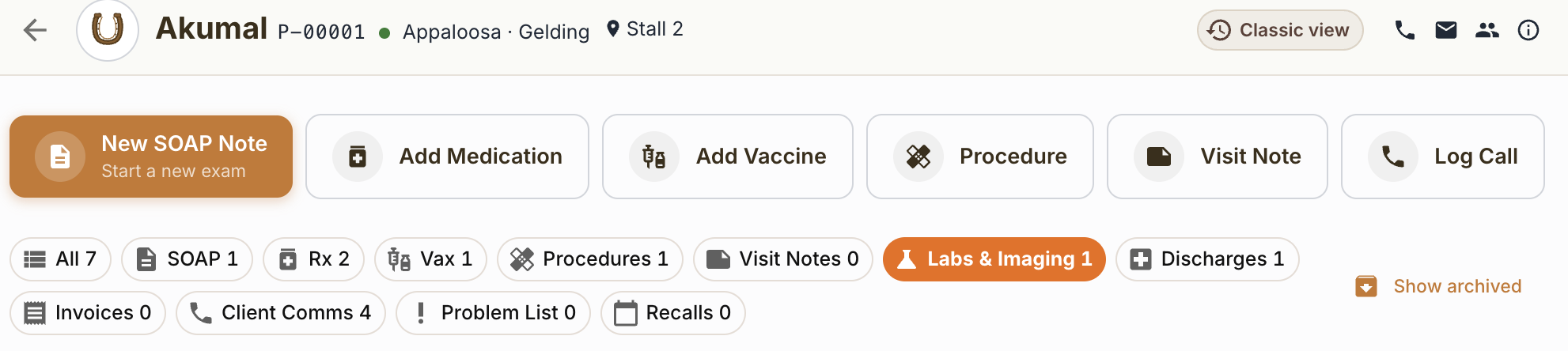 StableTrack equine patient record showing breed, gelding status, and stall location for an Appaloosa
