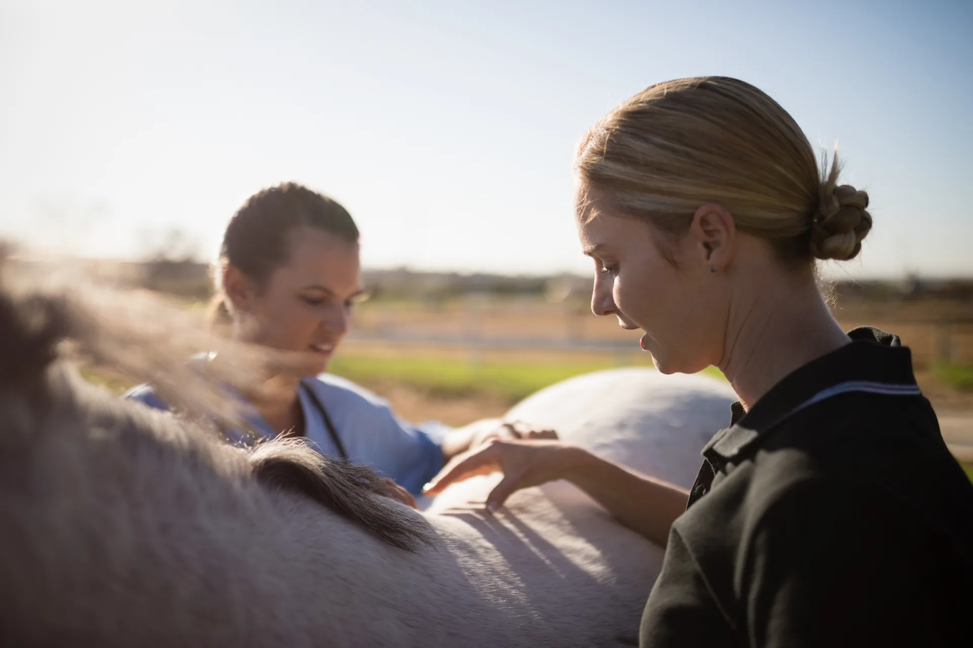 Lameness evaluation in the field