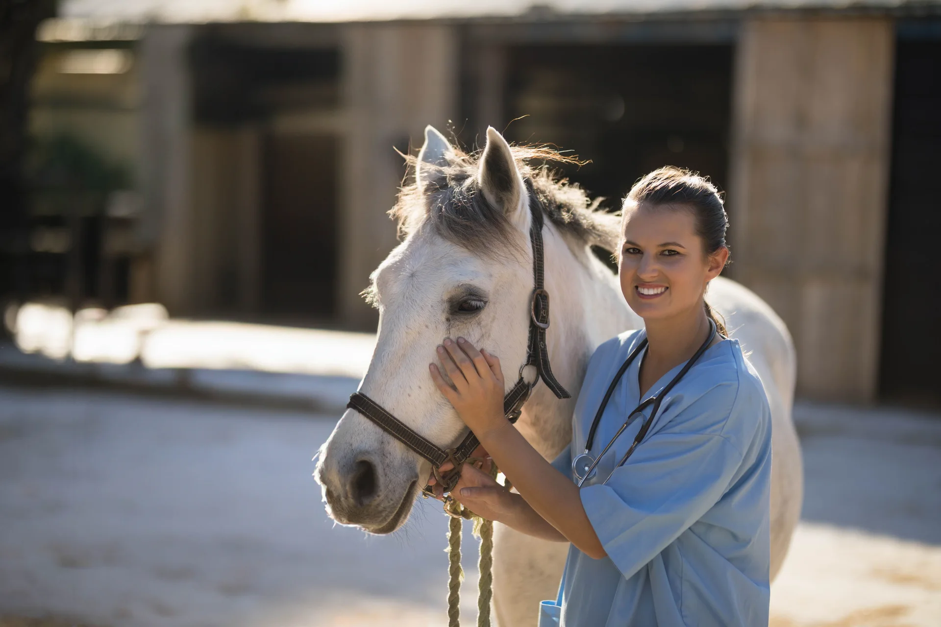 Equine reproductive care