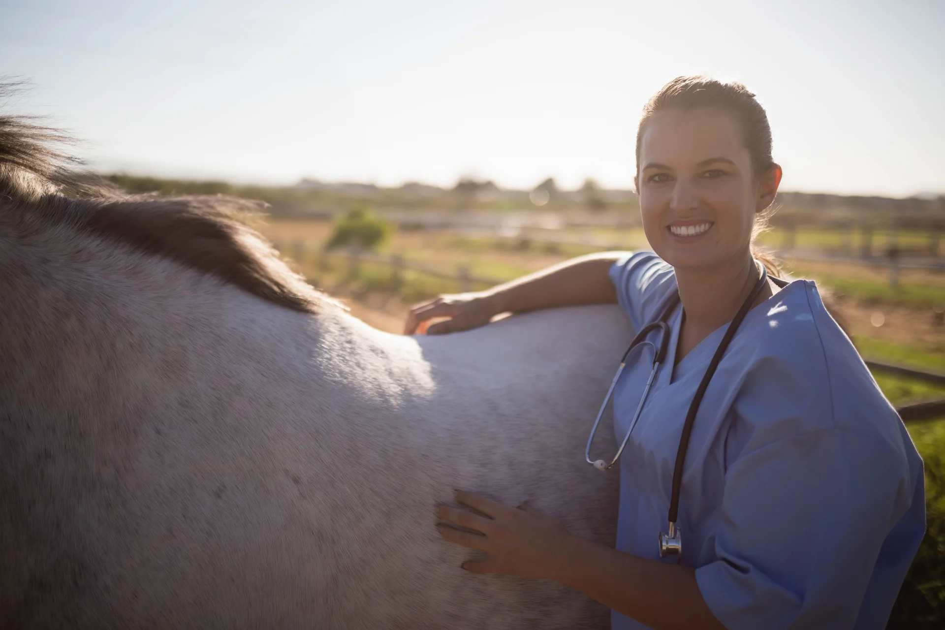 Equine veterinarian standing beside horse at a ranch during a farm visit