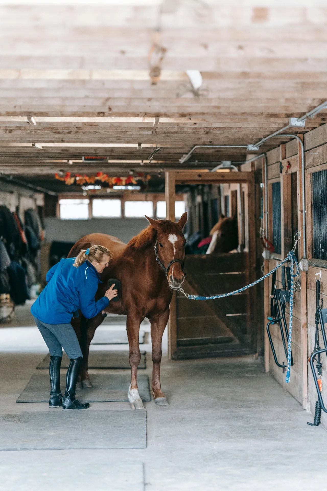Equine professional working with a horse in a barn setting during a farm visit