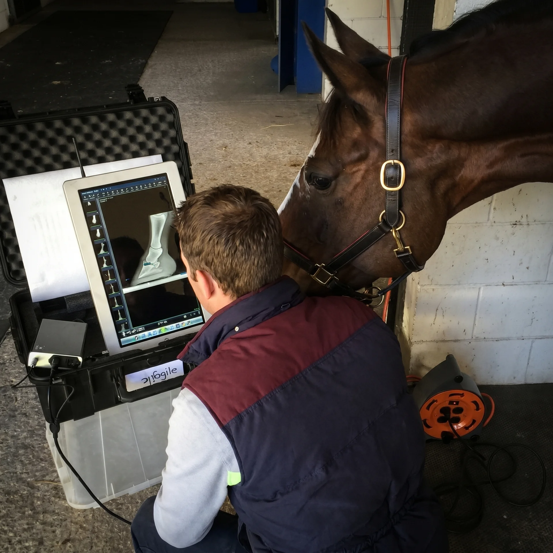 An equine veterinarian reviewing digital radiographs on a portable imaging unit beside a horse in a barn aisle